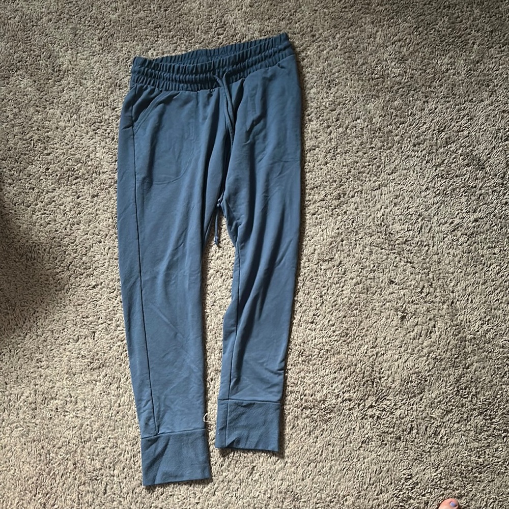 Free People Women’s Sweatpants Blue Size LG